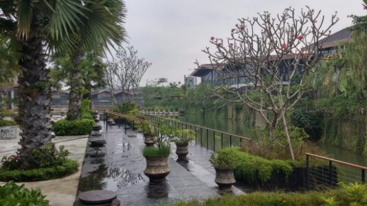 Botanical Garden the Breeze